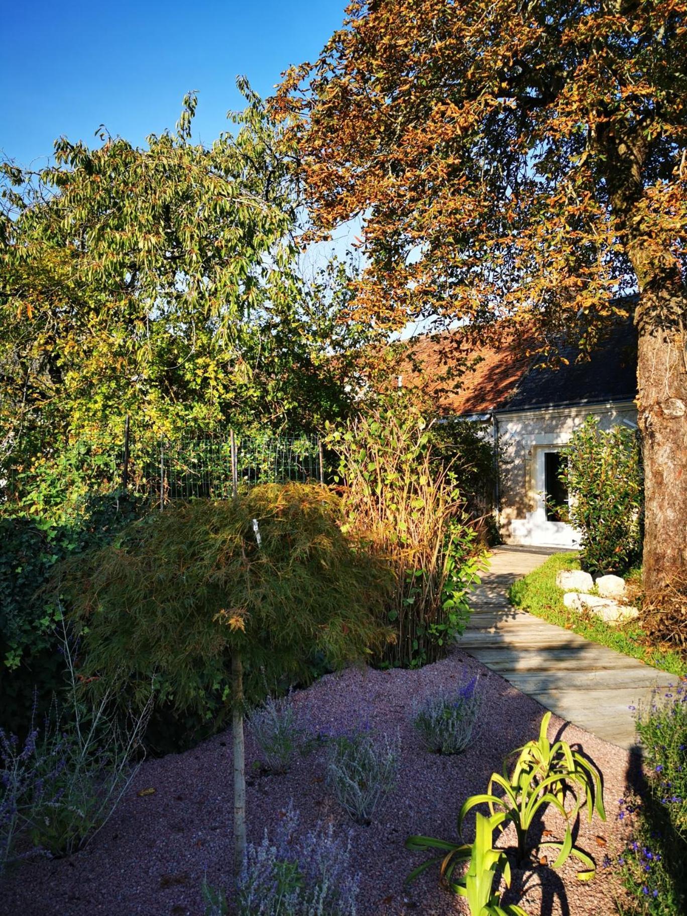 La Jacquiere Bed & Breakfast Chaumont-sur-Loire Ngoại thất bức ảnh